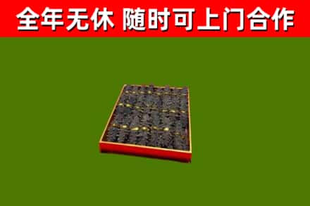 山亭区回收海参